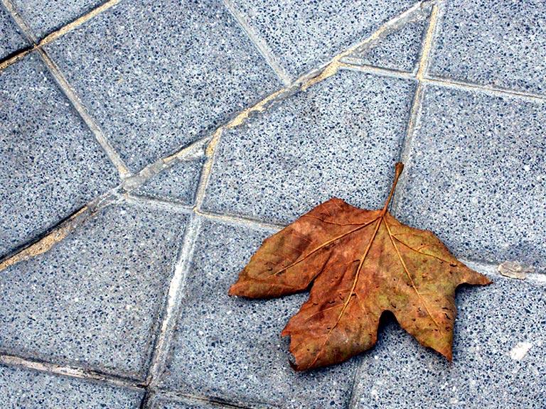 Otoño en San Sebastián.jpg